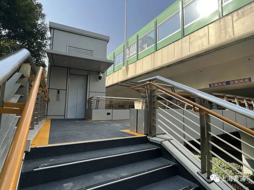 有爱无 碍 重庆南路人行天桥无障碍电梯启用